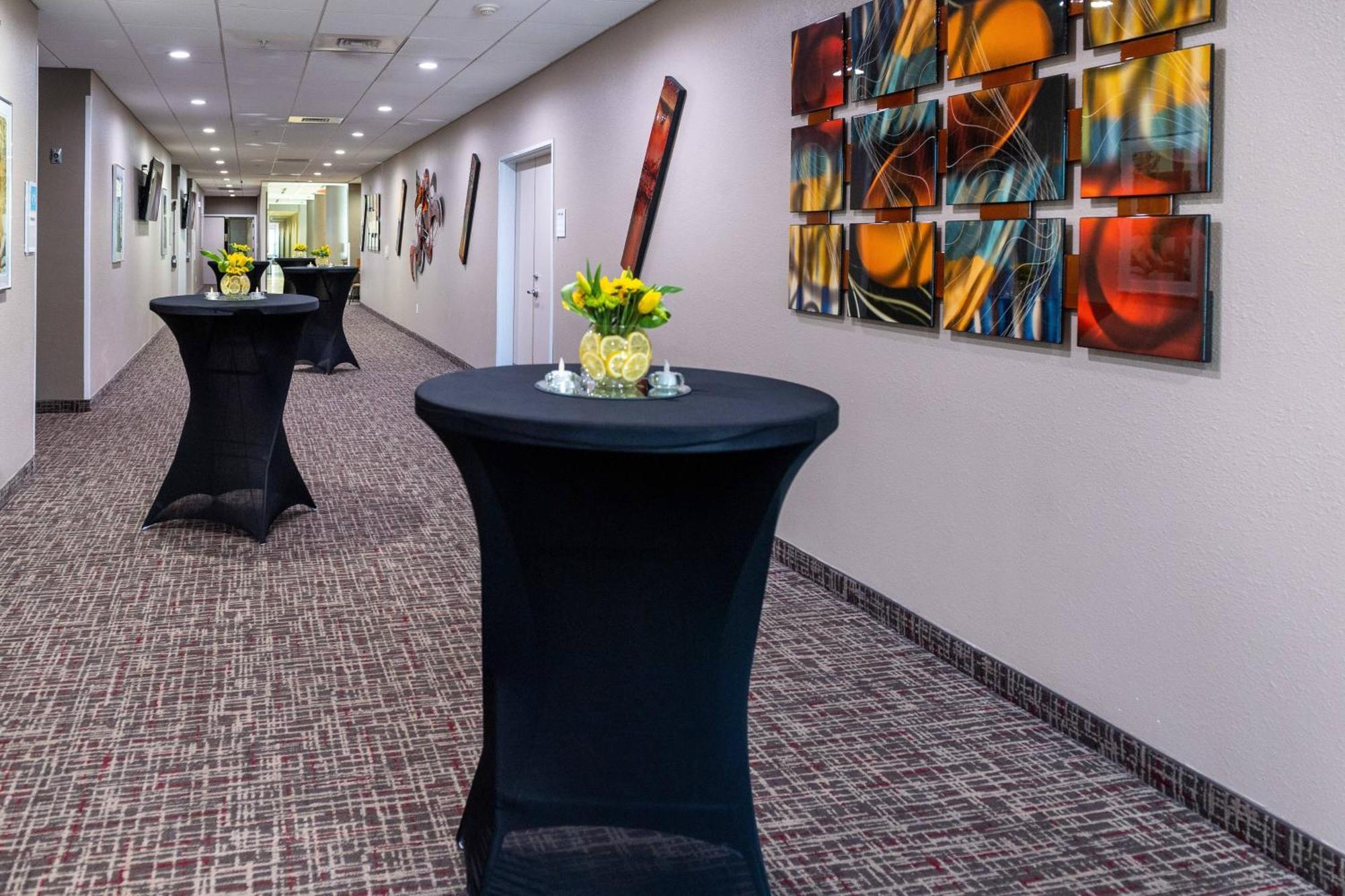 Springhill Suites By Marriott Houston בייטאון מראה חיצוני תמונה